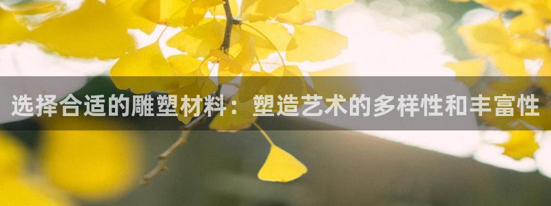 xc体育
