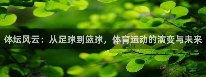 xc体育app官方网站