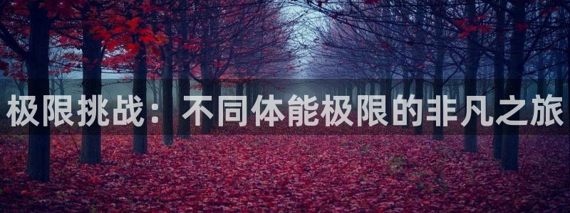 xc体育