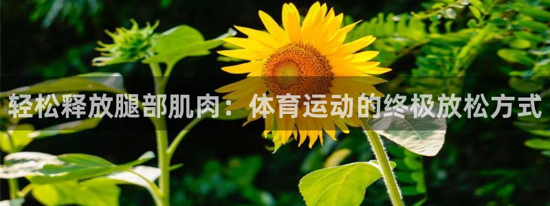 xc体育app官方网站