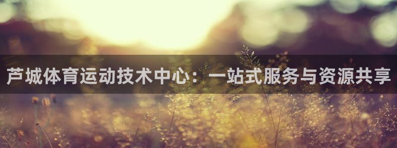 xc体育app官方网站