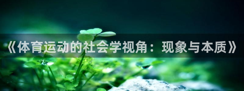 xc体育
