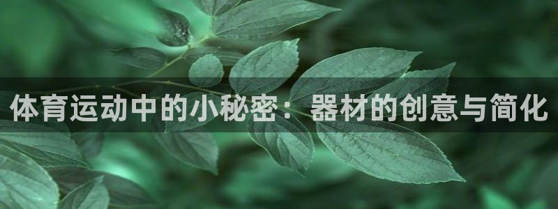 xc体育