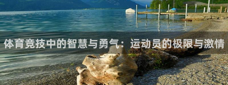 xc体育app官方网站