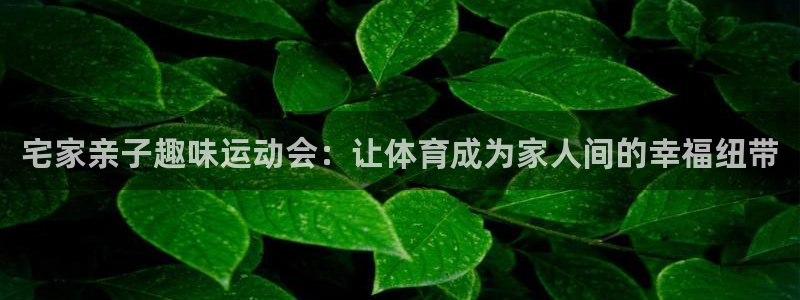 xc体育