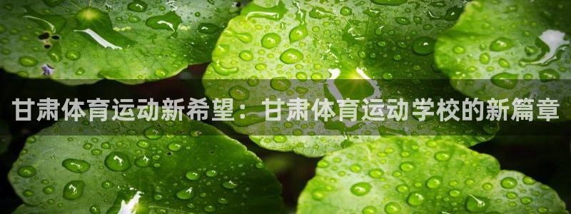 xc体育