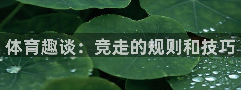xc体育app官方网站