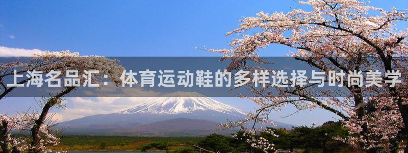 xc体育